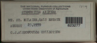 Image Associated With the Occurence